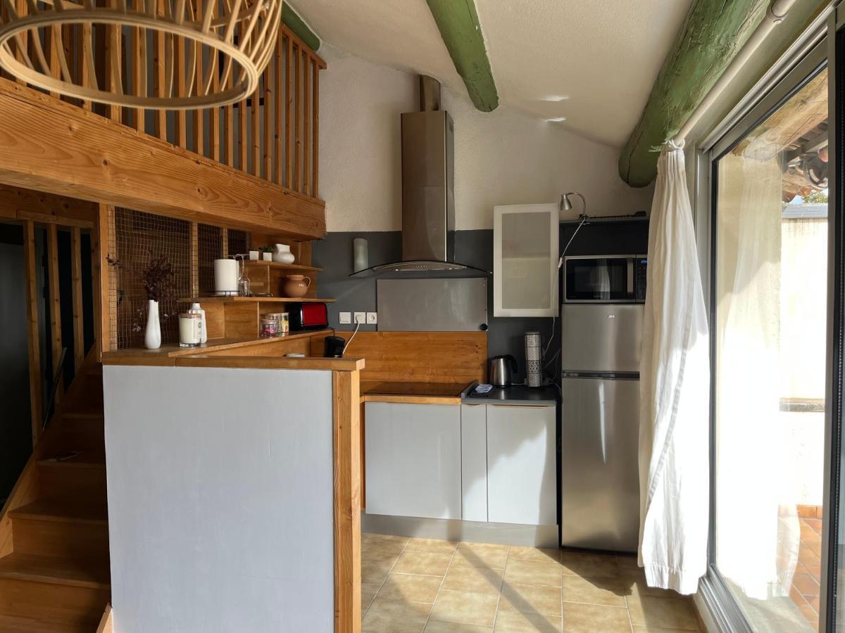 Duplex Lumineux Sur Gde Terrasse, Balneo Double, Parking Prive, Clim, Local Velos Entraigues-sur-la-Sorgue Exterior photo